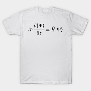 Schrodinger Equation - Quantum Mechanics And Science T-Shirt